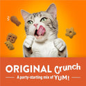 Purina Friskies Cat Treats, Party Mix Original Crunch - 30 oz. Pouch