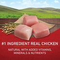 Purina ONE Chicken and Rice Formula Dry Dog Food - 8 lb. Bag