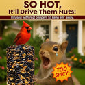 Hot Pepper Bird Seed Cylinders with Hole – Spicy Birdseed to Reduce Squirrels – Bird Seeds for Outside Wild Birds – No Mess Birdseed – Hot Birdseed with No Filler – All Natural, USA Made (4" x 7.75")