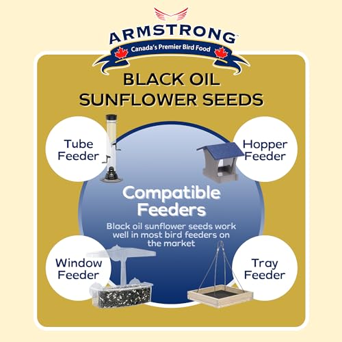 Armstrong Wild Bird Food Black Oil Sunflower Bird Seed, 25 Pounds - for Northern Cardinals, Blue Jays and Hairy Woodpeckers - Ideal for Outside Feeders