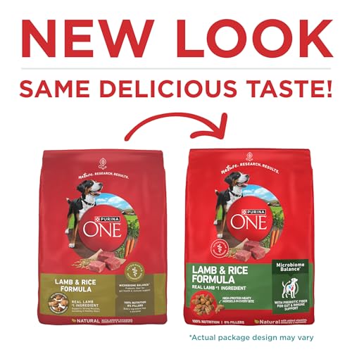 Purina ONE Dry Dog Food Lamb and Rice Formula - 16.5 lb. Bag