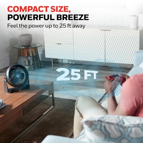 Honeywell TurboForce Air Circulator, Small Tabletop Fan, Quiet Personal Fan for Home or Office, 3 Speeds, 90 Degree Pivoting Head, Black, HT900 | Quiet Personal Fan for Home or Office, 3 Speeds, 90 Degree Pivoting Head