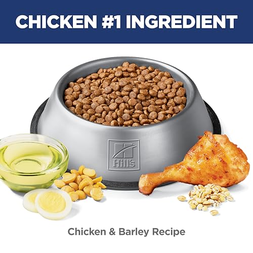 Hill's Science Diet Adult Sensitive Stomach & Skin Small Bites Dry Dog Food, Chicken, 4 lb. Bag