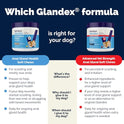Vetnique Glandex Anal Gland Soft Chew Treats with Pumpkin for Dogs Digestive Enzymes, Probiotics Fiber Supplement for Dogs Boot The Scoot (Peanut Butter Chews, 60 Count)