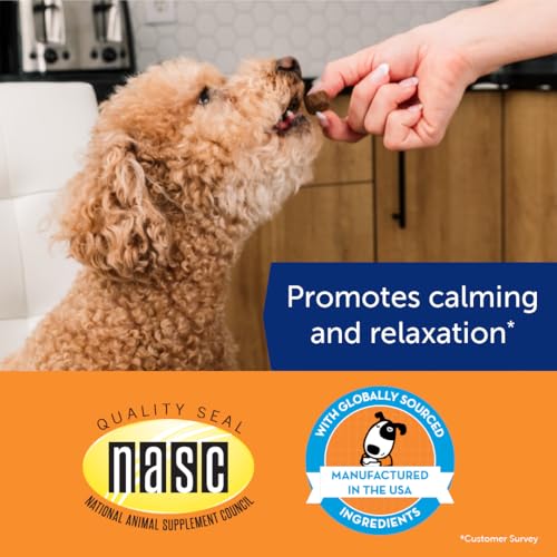 ThunderBites Hemp Calming Chews for Dogs, Everyday Use Can Help Relieve Stress from Separation, Storms, Fireworks & Travel (60 Count), Formerly ThunderWunders