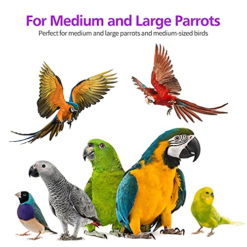 RUBY.Q 2 Pack Large Parrot Toy, 20in Bird Parrot Toy, Multicolored Natural Wooden Bird Chewing Toys for Large Macaws, African Grey and a Variety of  Parrots