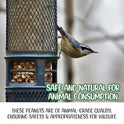 Sneaky Mango - Raw Peanuts in Shell - 10 Pounds – All-Natural Food for Squirrels, Deer, Birds, and Other Wildlife Animals – Grown in the USA for Healthy Nutrition