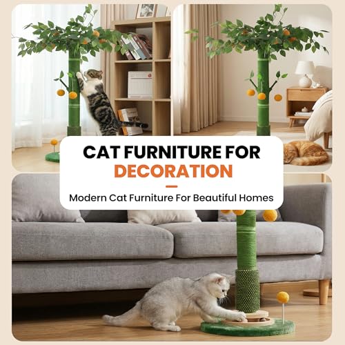 53" Tall Cat Scratcher Tree