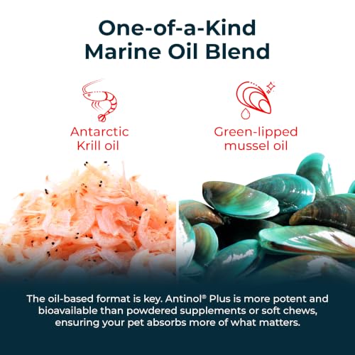 Antinol Plus Mobility Hip & Joint Supplement for Dogs, 120 Soft Gels | Green-Lipped Mussel Oil and Krill Oil for Better and Faster Results than Glucosamine and Chondroitin