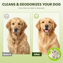 Hypoallergenic Pet Wipes for Dogs & Cats – Quick Clean & Deodorize Paws, Butt, Eyes, Ears, Face & Fur | Daily Grooming After Walks and Between Baths | Extra Large & Thick | Coconut Scented, 400 Count