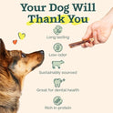 WOOF Bully Sticks Dog Treats - Chew Sticks for Dogs - Long-Lasting Dog Chew Treats - Made with Free-Range, Grass-Fed Beef - 6" Sticks - 10pk