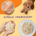 Jungle Calling Freeze Dried Chicken Cat & Dog Treats, Single Ingredient Chicken Bites for Cats & Dogs, High Protein Pet Training Treats, Edible Organic Food Topper, Approx 670 Pieces, 10.58 oz