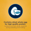 Kaytee Forti-Diet Pro Health Egg-Cite Nourish+Protect Parakeet, Supports Breeding and Molting, Nutrition Backed by Science, Digestive Health, 5 pounds