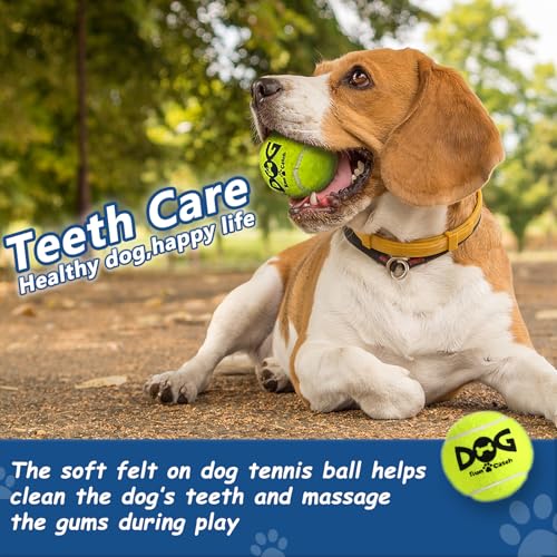 INSUM Tennis Balls for Dogs, 2.5in, 12-Pack
