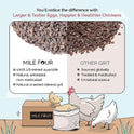 Mile Four Chick Grit for Baby Chicks - Chickens Age 0-8 Weeks, 100% Natural Mineral Chick Grit Quartzite, Poultry Grit Digestive Aid, USA Mined, 4 lbs