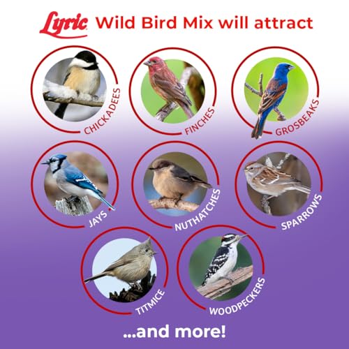 Lyric Wild Bird Mix - Includes Corn, Nuts, and Wild Bird Seed for Outside Feeders, Attracts Doves, Jays and Many More, 40 lb Bag