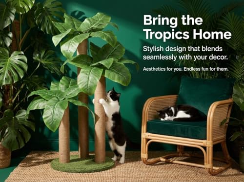 LEMONDA 31.5Inch Cat Scratching Post,Cat Scratcher Tree with 3 Scratching Poles & 2 Interactive Dangling Balls,Cats Scratching Posts for Indoor Kitten & Adult Cats