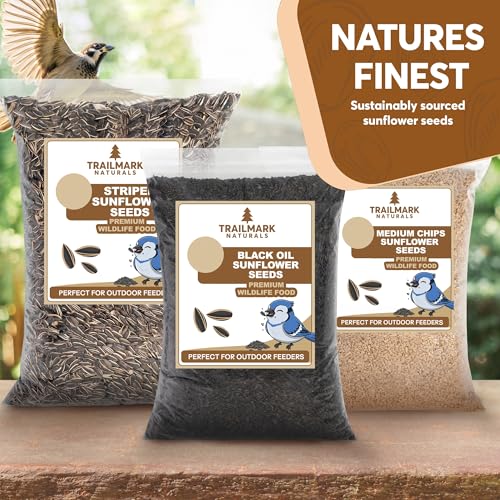 10 Pound Black Oil Sunflower Seeds for Birds – Premium Wildlife Food – Non - GMO -Grown in the USA - Black Oil Sunflower Seeds for Wild Animals and Backyard Feeders