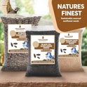 3 LB Black Oil Sunflower Seeds for Birds – Premium Wildlife & Bird Food – Grown in USA - Non-GMO - Black Oil Sunflower Seeds for Wild Birds and Backyard Feeders