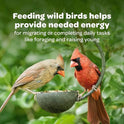 Kaytee Cardinal Wild Bird Seed, 7 lb