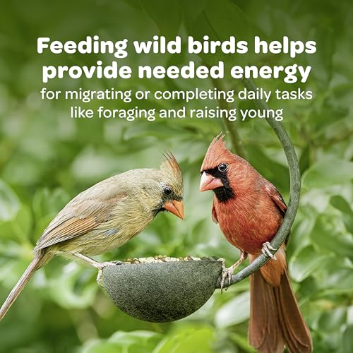 Kaytee Cardinal Wild Bird Seed, 7 lb