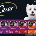 Cesar Wet Dog Food Classic Loaf in Sauce Grilled Chicken, Filet Mignon, Porterhouse Steak, Beef, Chicken & Liver and Turkey Variety Pack 3.5 oz. Easy Peel Trays (36 Count, Pack of 1)