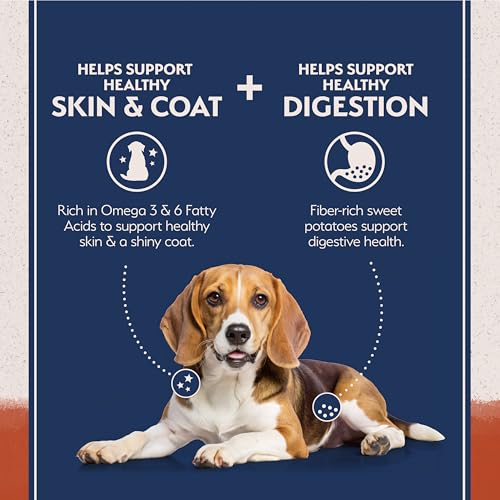 Natural Balance Limited Ingredient Adult Dry Dog Food - Balanced Nutrition for Adult Dogs - Grain-Free, Soy-Free Recipe - Limited Ingredient Formula - 24 lb - Salmon & Sweet Potato Recipe