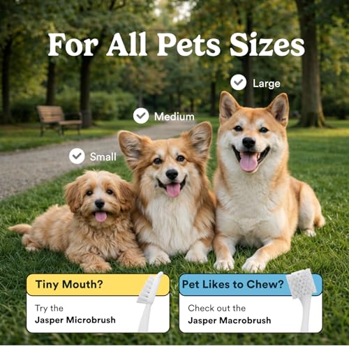 Jasper Dog Toothbrush, 2-Pack, Blue