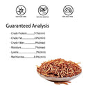 I LOVE WORMS Dried Mealworms (5lb), Wild Bird Food, High-Protein Mealworms for Bluebirds, Chickens, Ducks, Reptile, Tortoise, Amphibian, Lizard
