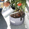 Back to the Roots Self-Watering Terracotta Olla Pot (Pack of 3), 700mL Provides 1 Week of Precision Watering