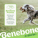 Benebone Tripe Bone Durable Dog Chew Toy for Aggressive Chewers, REAL Beef, Made in USA, Medium