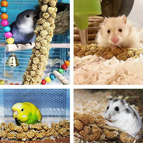 Jmxu's Spray Millet Treat for Birds Parakeets, Natural Sun-Dried Birds Millet for Cockatiel, Budgie, Finches, Parrots, Hamster
