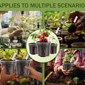 30 Packs Clear Nursery Pots for Plants, 3.5/4/5 Inch High Transparency Plastic Seedling Plant Pot with Drainage Holes, Includes 20 Labels