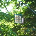 Wildlife Sciences Suet Plus 6 Pack Variety Feeder