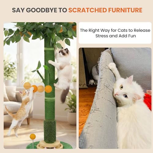 53" Tall Cat Scratcher Tree