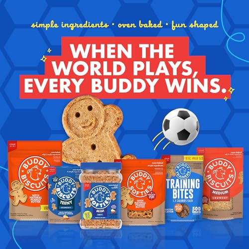 Buddy Softies Soft & Chewy Dog Treats Peanut Butter 20 oz. Jar