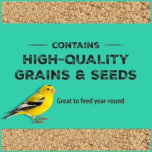 Pennington Pride Wild Finch Blend, Wild Bird Seed for Outside Feeders, Special Mix for a Variety of Musical & Colorful Songbirds, Great Bird Food to Use as Year-Round Feed, 10-lb. Bag