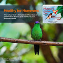Hummer's Galore Made in USA Hummingbird Food - Ready-to-Mix Hummingbird Nectar, All-Natural Nectar Collector Formula, No Preservatives or Dyes, Makes 64 Ounces (4 Packets Included)
