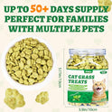 Wellix 13.05oz Cat Grass Treats with Catnip & Salmon - Healthy Cat Treats for Indoor Cats - Hairball Control & Digestive Support - Kittens Training Snacks for Teeth Cleaning
