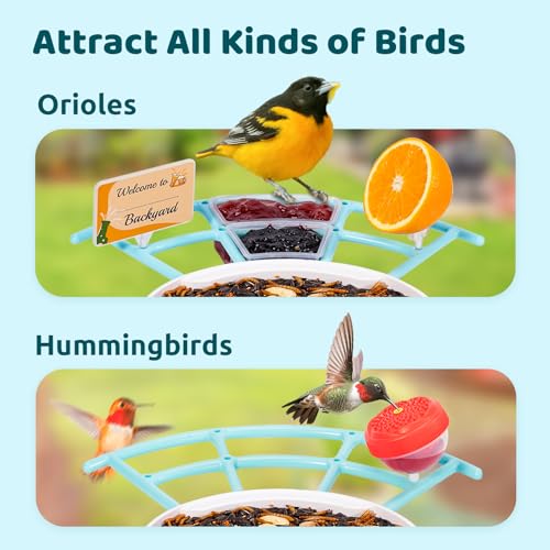 NETVUE by Birdfy Pro Perch - Wider Extension Perch to DIY Add-ons Including Suet Ball, Mini Hummingbird Feeder, Fruit Holder, Jelly Feeder and Welcome Card, Ideal for Bird Lover (Blue)