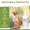 Liquid Bandage for Dogs 4oz Waterproof Spray - Chew + Heal Labs Wound Care with Aloe for Cuts, Scrapes, Stitches, Paw Injuries - Breathable, Safe if Licked
