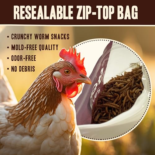 Pet Faves Dried Mealworms for Chickens, Birds, Hamster, Reptile and Turtle - Premium Non-GMO Treats with 55% Protein for Laying Hens - Organic Food for Wild Bird, Bluebirds, Robins, Cardinals. 5 Lb