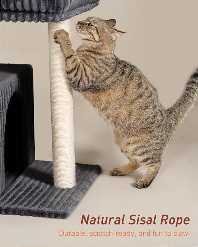 Cat Tree for Large Cat, 20.9 * 15.7in Large Perch Bed for Adult Cats, 22.8in Cat Tower with Scratching Post, Cat Condo with 2-Door for Indoor Cats, Dark Gray