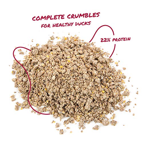 Manna Pro Duck Starter Grower Crumble | Non-Medicated Feed for Young Ducks | Supports Healthy Digestion | 25 Pounds