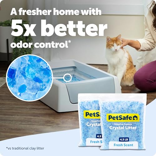 PetSafe ScoopFree Premium Crystal Litter, Fresh Scent, 4.3 Lb Bag, 2 Pack | Ultra-Absorbent Crystal Cat Litter, 5x Faster Odor Control, 99% Dust-Free, Low Tracking, Refills Any Cat Box or Tray