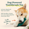 WOOF - Bite n' Brush Refills Treats for the Dog Toothbrush Toy - Scrub Plaque and Tartar from Your Dog's Teeth and Mouth - Dog Dental Sticks - Approximately 18 Refills - Beef