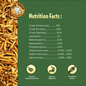 UCM Group 10LB Dried Mealworms for Wild Birds, Chickens, High Protein Organic Chicken Feed, 100% Non-GMO for Chickens, Ducks, Turtles and Reptiles