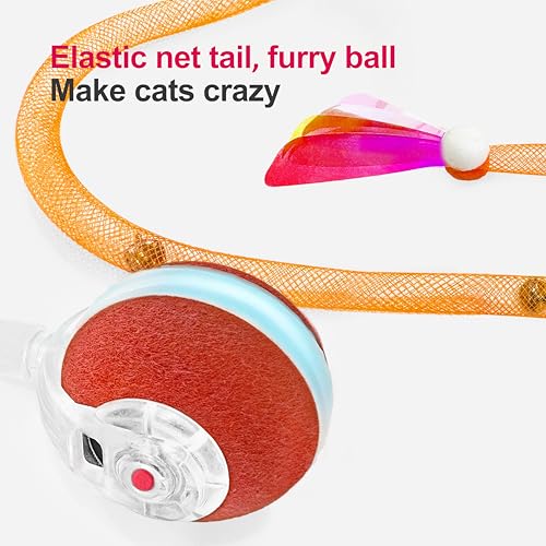 Jkanti Interactive Cat Toys for Indoor Cats, Orange