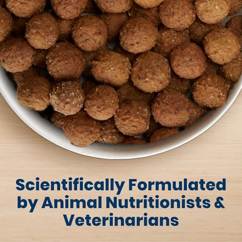 Blue Buffalo Nudges Beef & Rice Homestyle Natural Dog Treats, Meatball-Inspired Recipe, Healthy Reward or Training Treat, Made in the USA with Real Beef, No Artificial Preservatives, 16 oz.