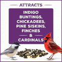 Pennington Pride Songbird Nut & Fruit Blend, Wild Bird Seed for Outside Feeders, Advanced Nutrition Formula for Health, Bird Food, 10-lb. Bag